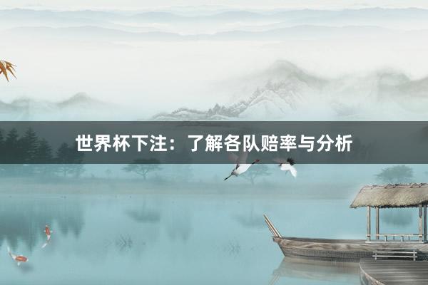 世界杯下注：了解各队赔率与分析